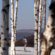 Illustration for article titled Austrian Cross-County Skier Running Second Makes Wrong Turn, Finishes Ninth
